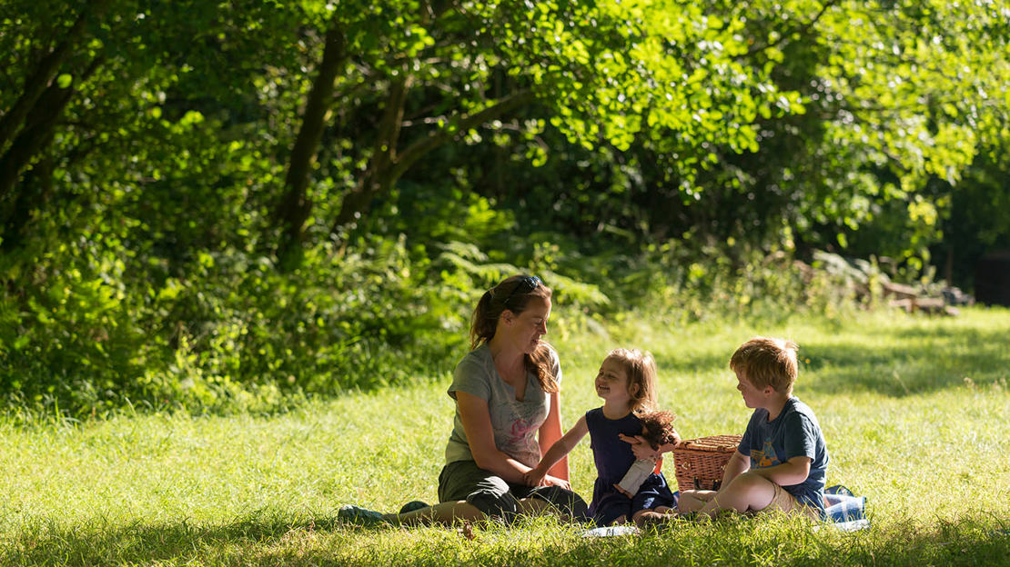 picnic in Fingle Woods