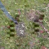 Spade inserted into a slit in the ground