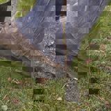 Boot heel is pushing open ground back around the planted sapling