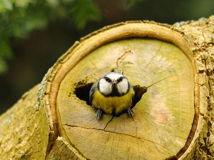 Umbraco.Cms.Infrastructure.PublishedCache.Property