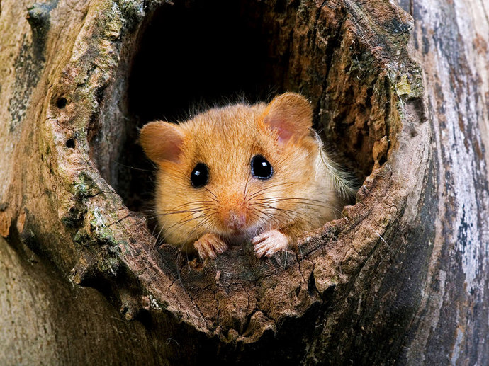 Umbraco.Cms.Infrastructure.PublishedCache.Property