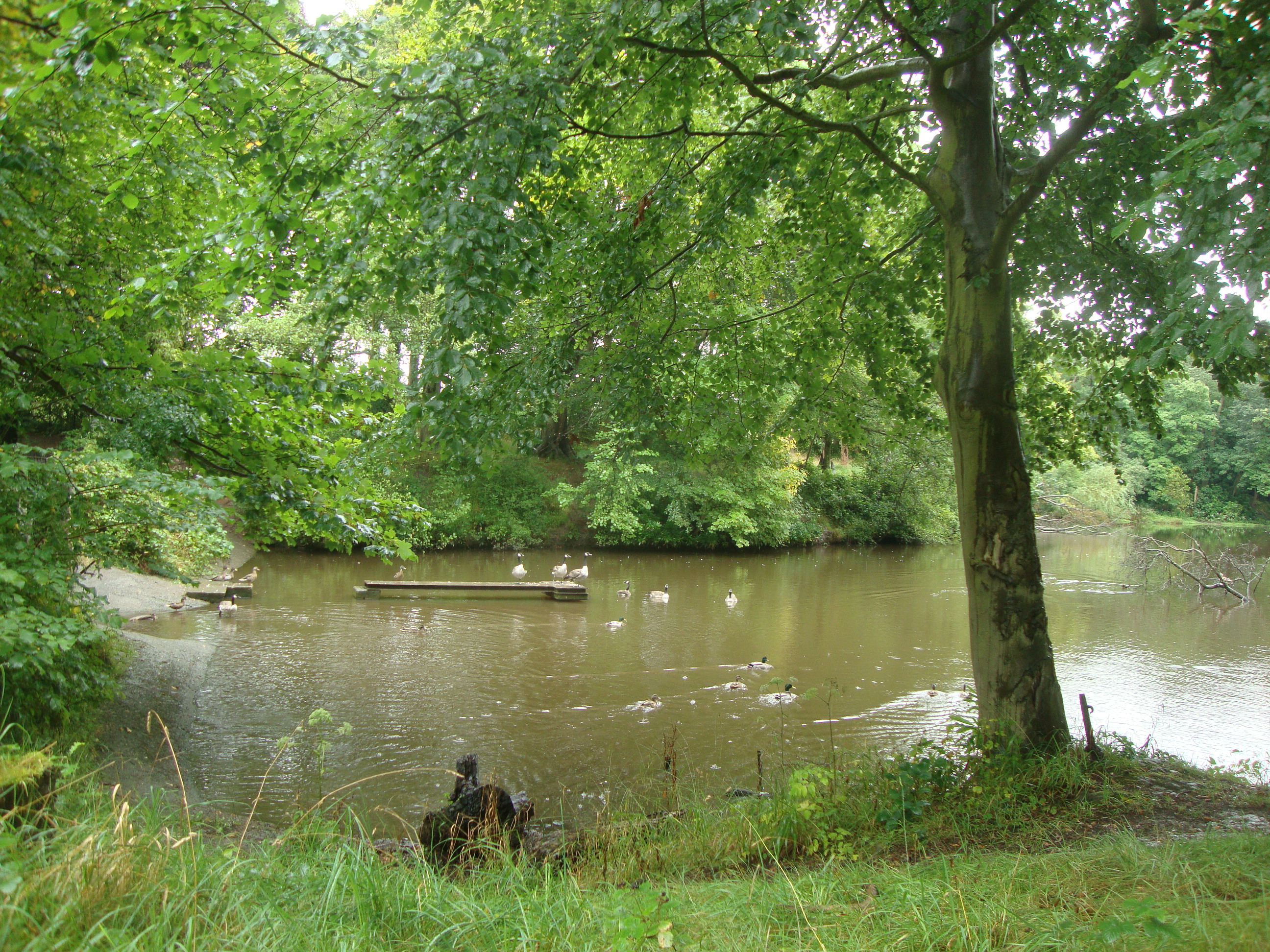 Arrowe Country Park - Woodland Trust