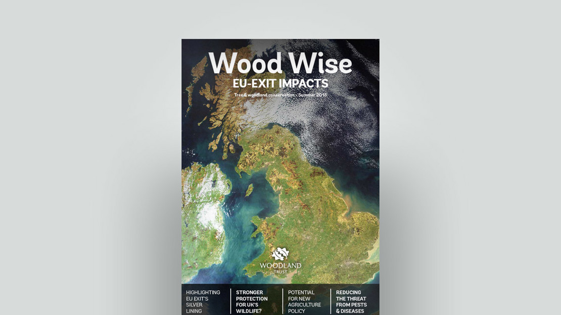 Cover of Wood Wise Summer 2018 - EU-exit impacts Cover of Wood Wise Summer 2018 - EU-exit impacts