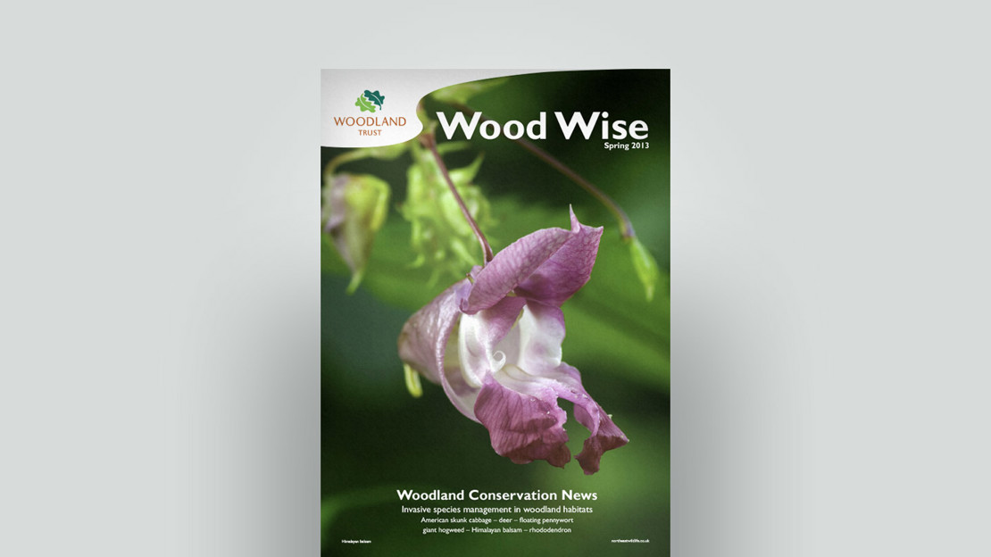 Cover of Wood Wise Spring 2013 - invasive species Cover of Wood Wise Spring 2013 - invasive species