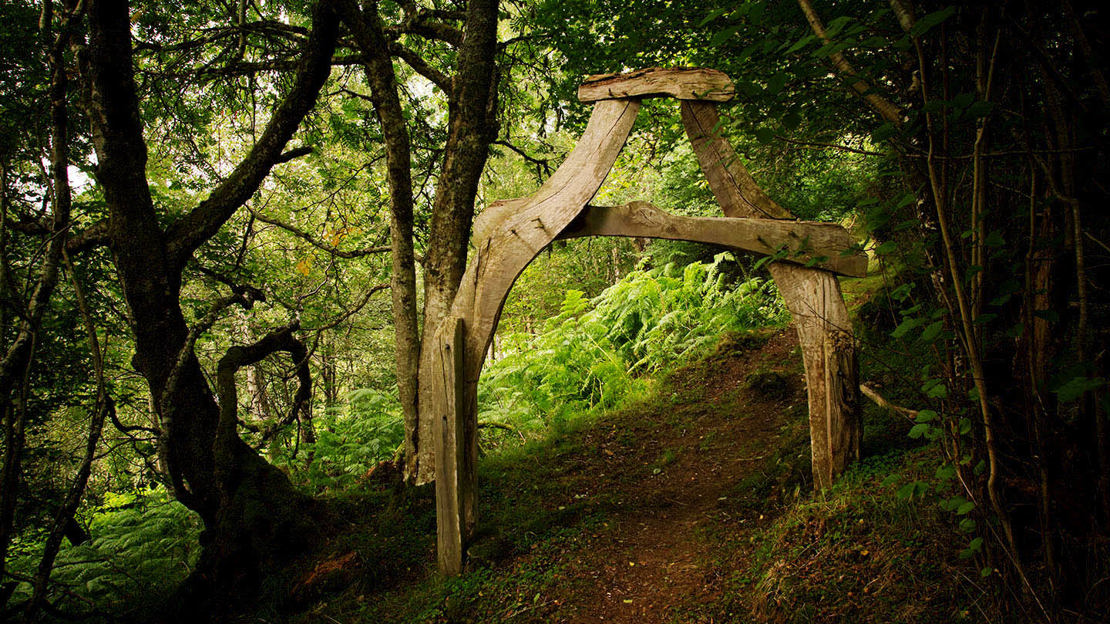Wooden archway on wooded path in Abriachan Wood, Scotland