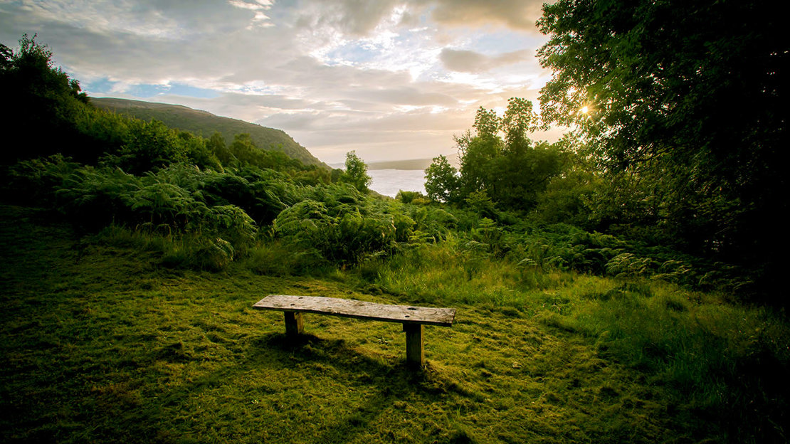 Bench in Abriachan Wood, looking out over Loch Ness, Scotland