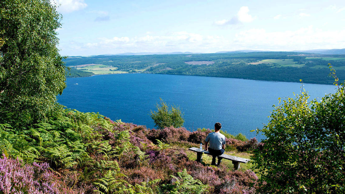 Summer's view over Loch Ness from bench in Abriachan Wood, Scotland