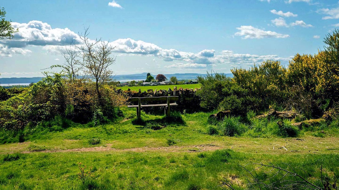 View from Bench, Backmuir Wood, Grove 3