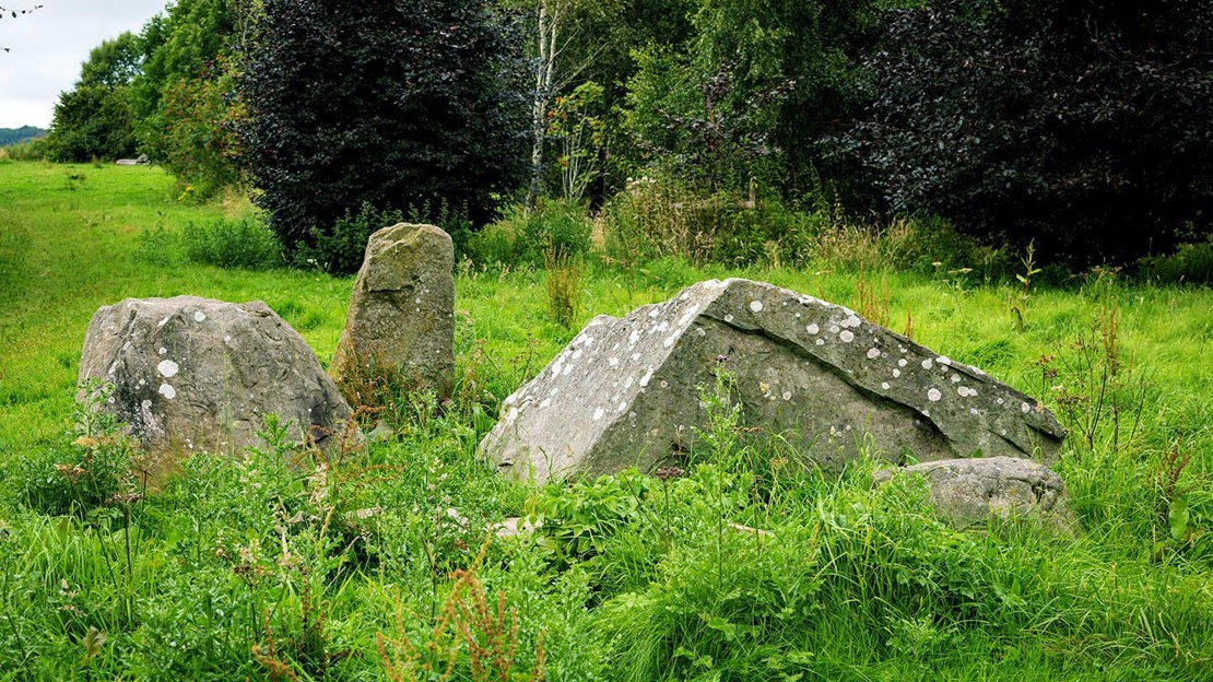 Stone Ruins, Backmuir Wood