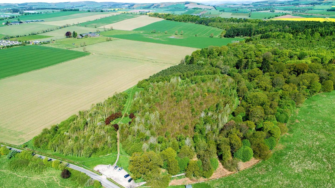 View from Drone, Backmuir Wood, Grove 2