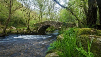 Packhorse stone bridge over river, Bovey Valley Woods