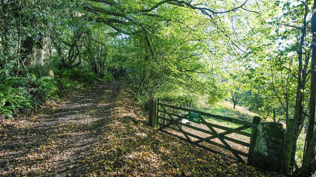 Site Entrance, Cadora Woods