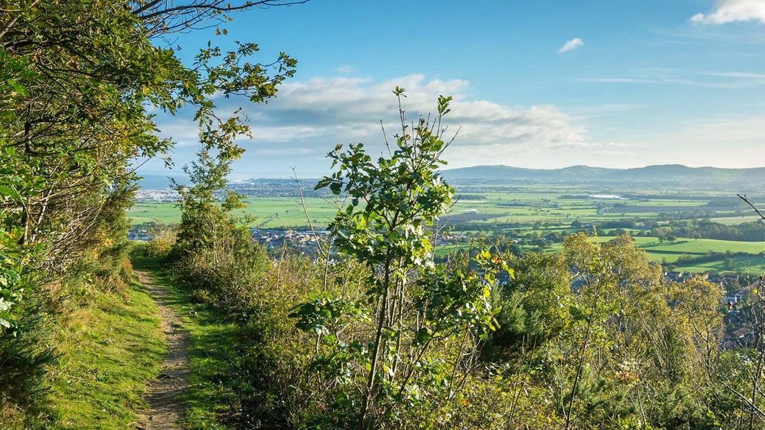 View from hillside, Coed Y Gopa