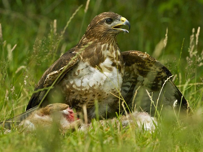 Umbraco.Cms.Infrastructure.PublishedCache.Property