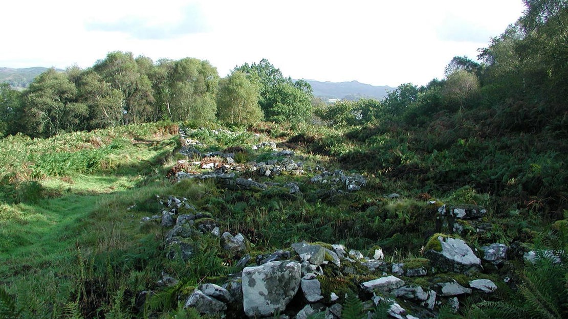 Stone ruins in field, Crinan Wood
