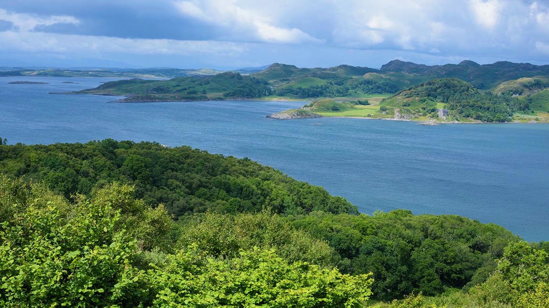 Lake in summer, Crinan Wood