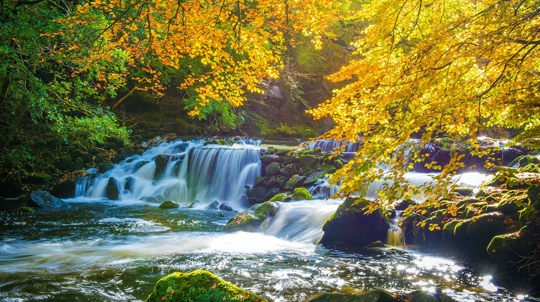 Small waterfalls, Fingle Woods