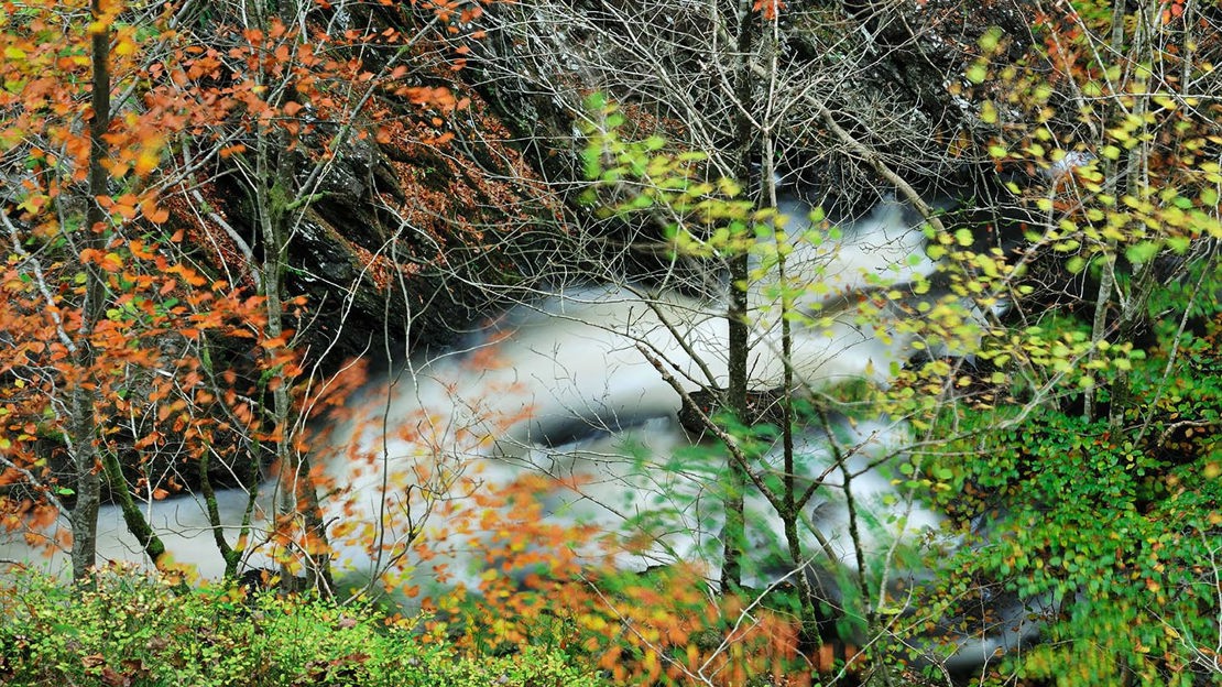 River flowing through Glen Finglas