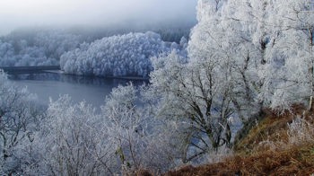 Frost-covered trees around lake, Glen Finglas 