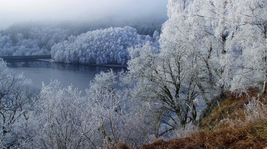 Frost-covered trees around lake, Glen Finglas