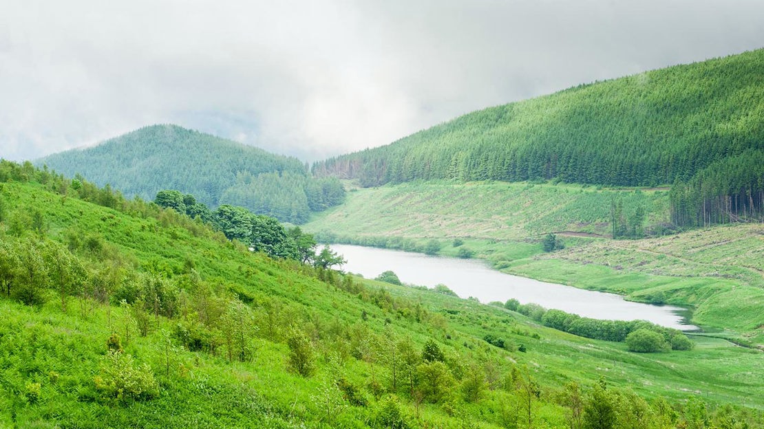 Reservoir, Glen Sherup
