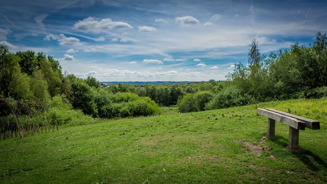 Wooden bench in meadow, Gorse Covert Mounds
