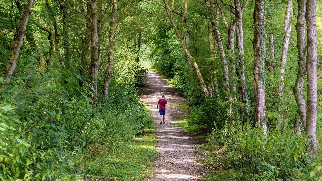 Man walking through woodland, Gorse Covert Mounds