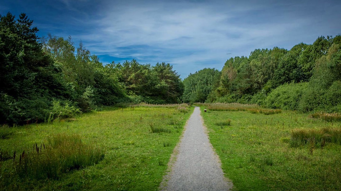 Path along edge of woodland, Gorse Covert Mounds