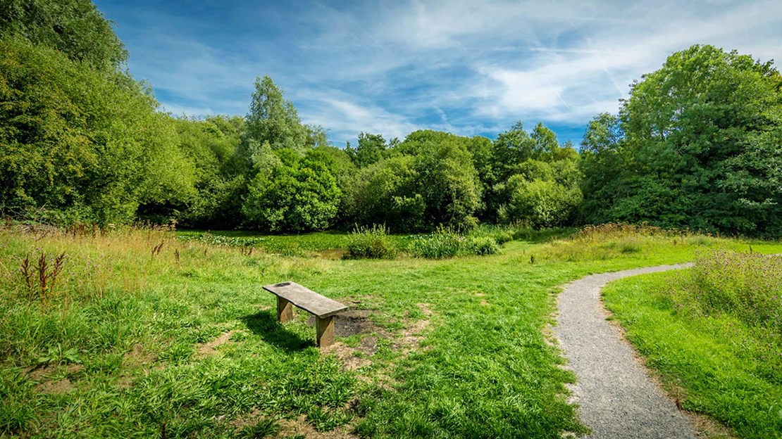 Wooden bench on edge of woodland, Gorse Covert Mounds
