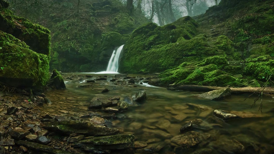 Waterfall and rocky pool, Greyfield Wood