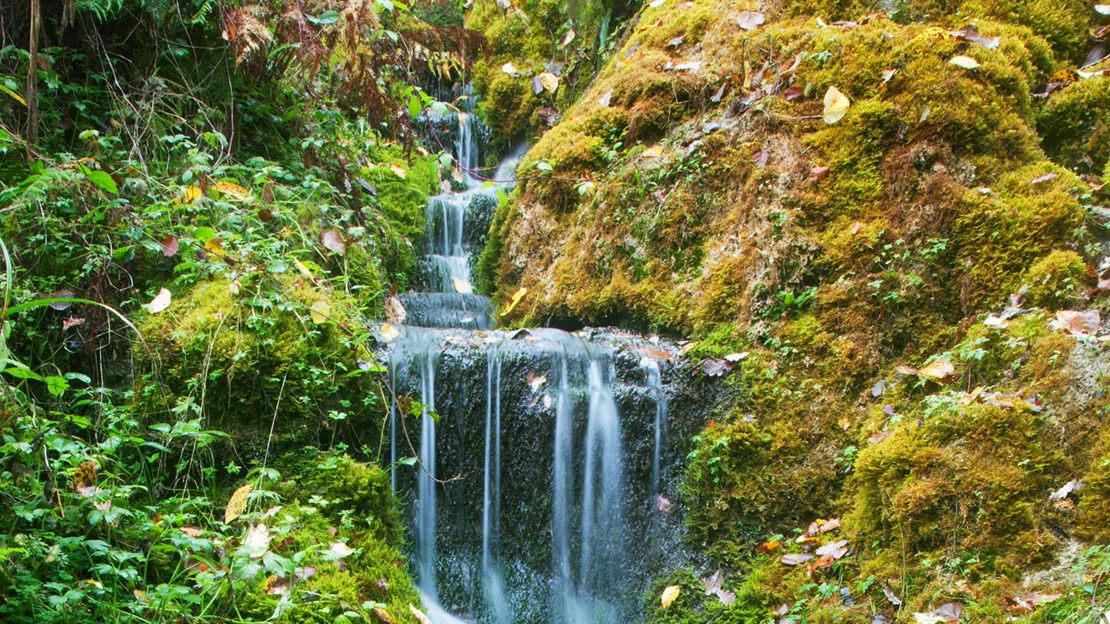 Waterfall landscape / Hackfall