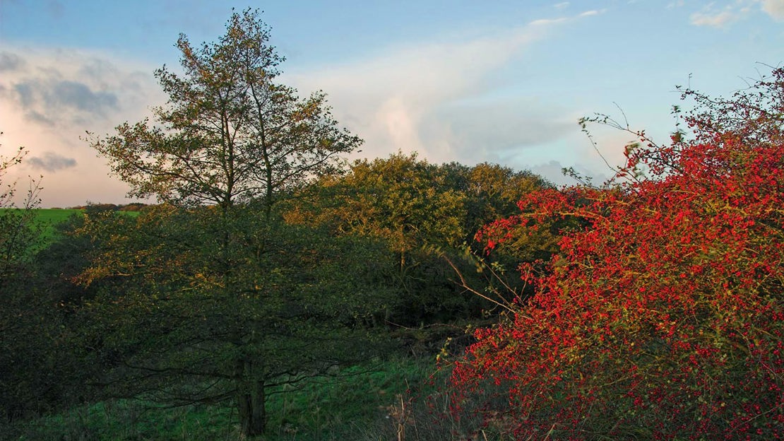 Sundown over Hedley Hall