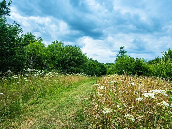 Umbraco.Cms.Infrastructure.PublishedCache.Property