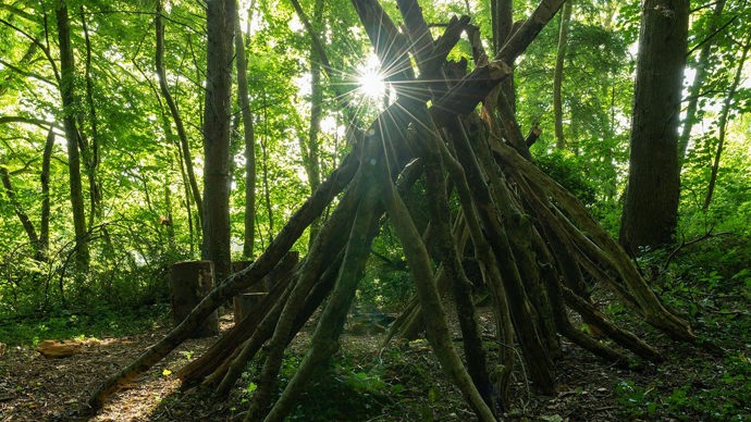 Wooden structure, Kings Wood