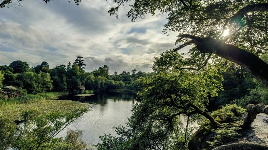 Lake viewed from shore, Lake Wood