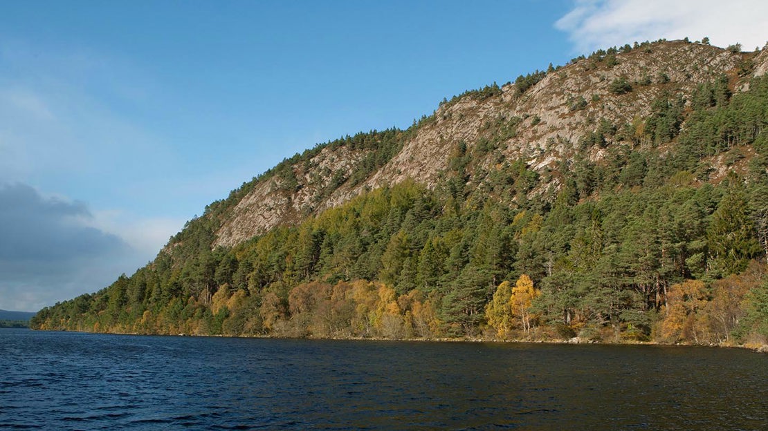 Lake and wooded hillside, Ledmore & Migdale