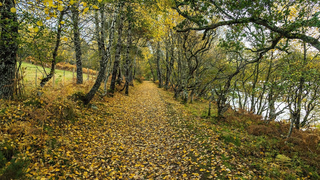 Lakeside path, Ledmore & Migdale