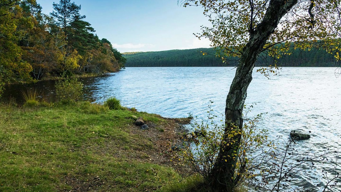 Riverside, Ledmore & Migdale