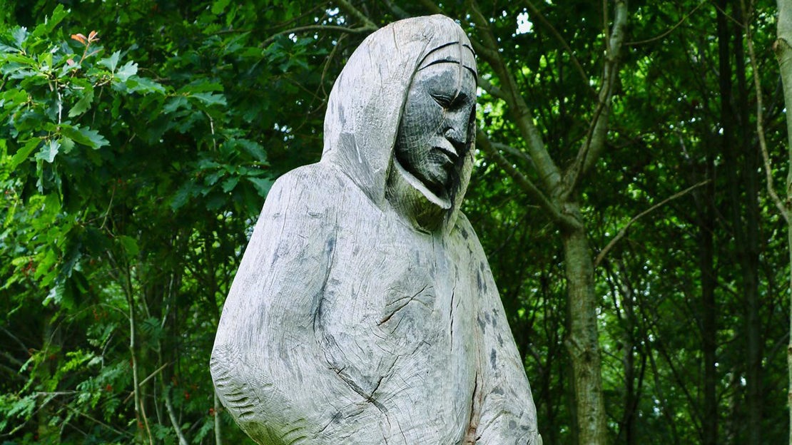 Wooden sculpture, Monkstown Wood