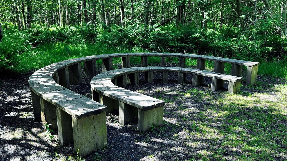 Horseshoe-shaped benches, Monkstown Wood