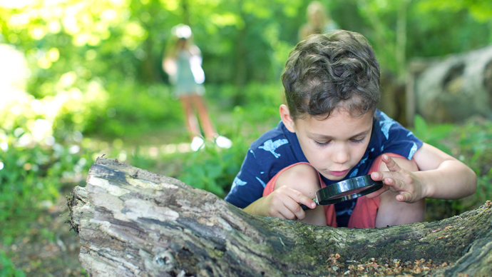 Boy studying a log with a magnifying glass