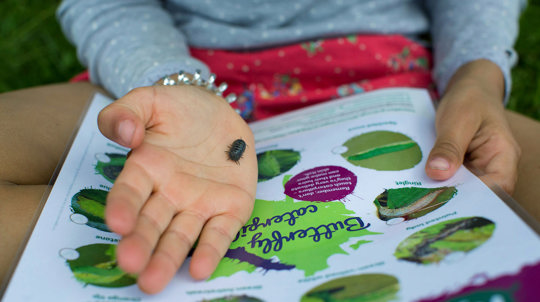 Child with a woodlouse on their hand