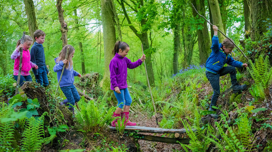 Children exploring a wood