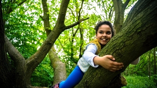 Smiling girl climbing a tree