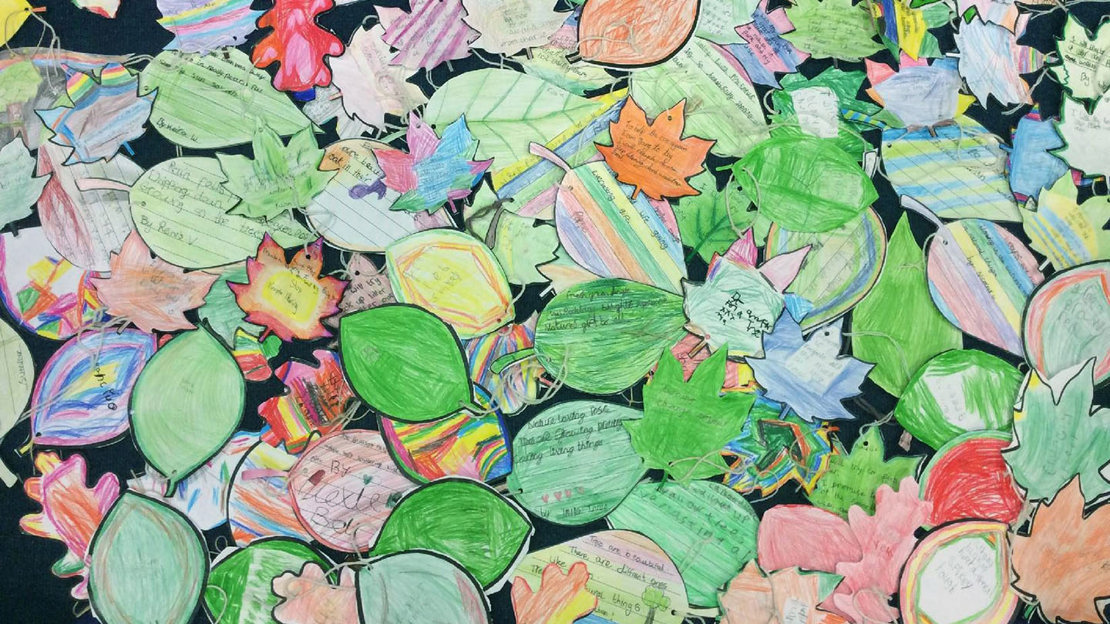 Colourful paper leaves with tree messages written on them