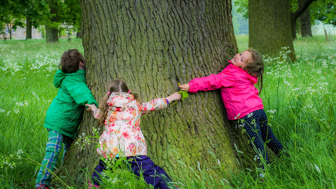 Children hugging a tree