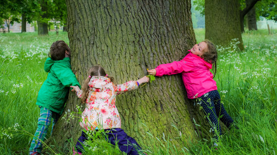 Children hugging a tree