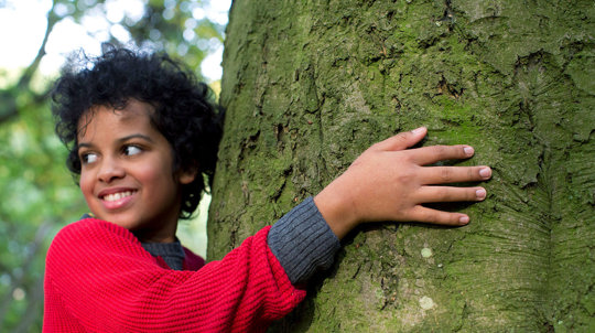 Boy hugging a tree