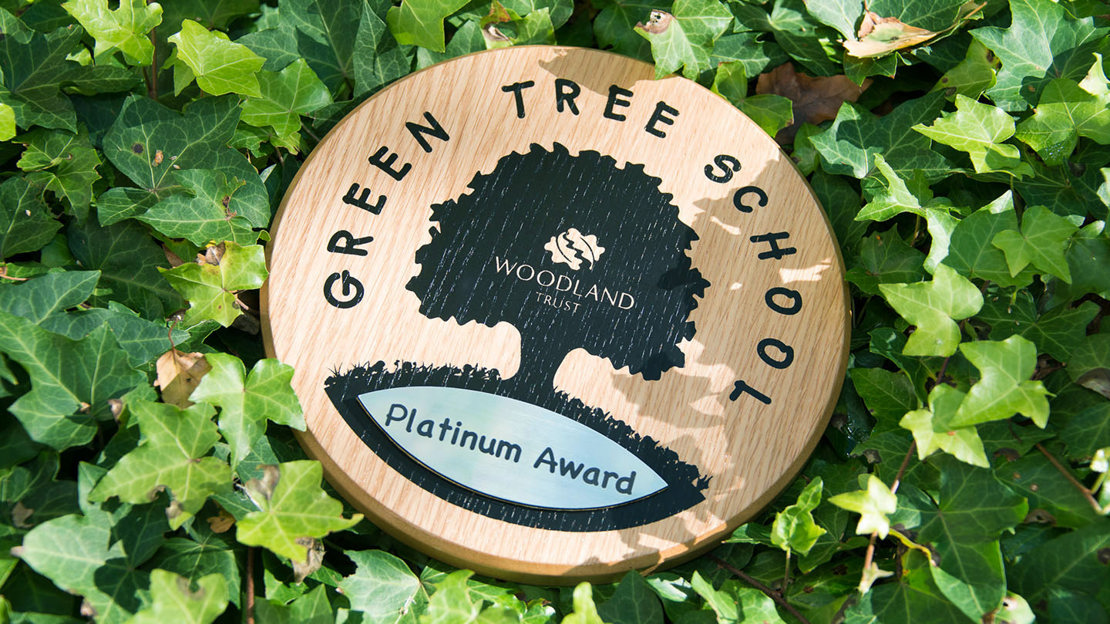 Green Tree Schools Award plaque