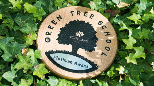 Green Tree Schools Award plaque